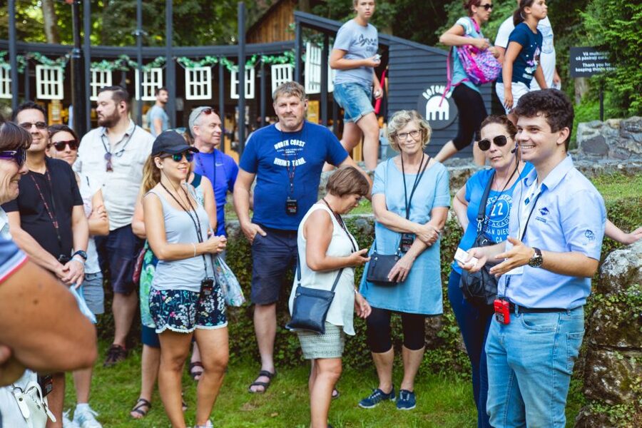 Bucharest: Dracula Castle, Peles Castle & Brasov Guided Tour - Should You Book This Bucharest, Peleș, Bran, and Brașov Tour?