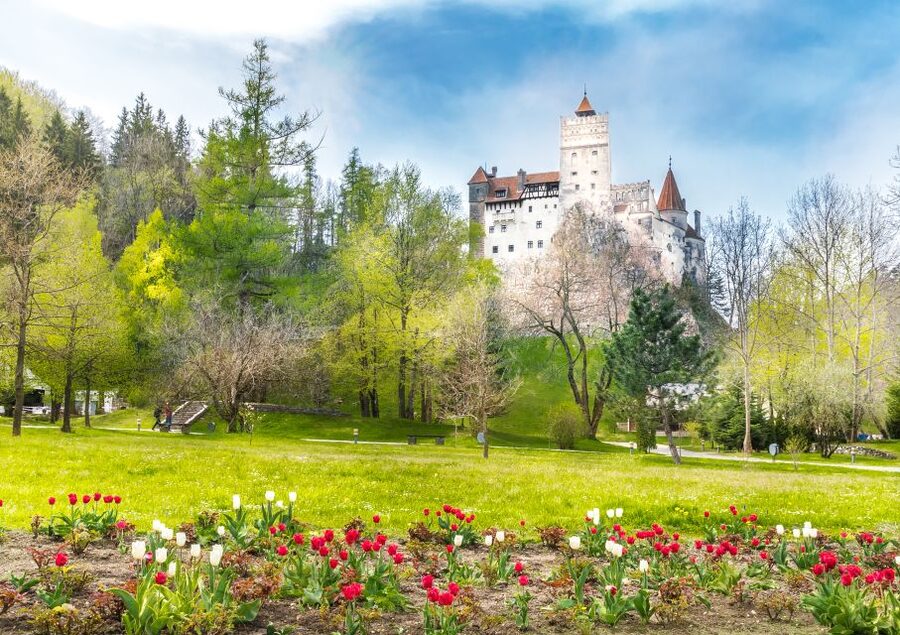 Bucharest: Dracula Castle, Peles Castle & Brasov Guided Tour - Peleș Castle: Neo-Renaissance Beauty You Actually Understand