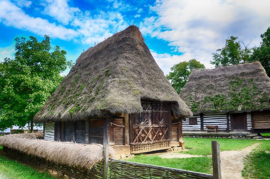 Bucharest Full Day City Tour - Village Museum Open-Air Time: What You Gain from Houses Moved in One Place