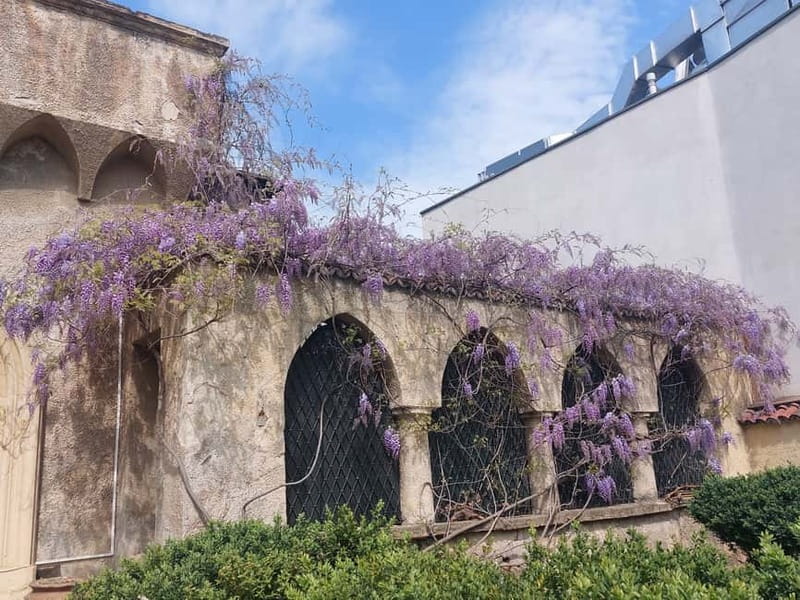 Bucharest: Hidden Gems 2.5-Hour Walking Tour - Covrig snack break, and why it’s more than a crunchy bite