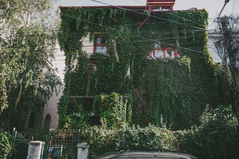 Bucharest: Hidden Gems 2.5-Hour Walking Tour - Ioanid block and Icoanei mahalla, ending with a beautiful finish