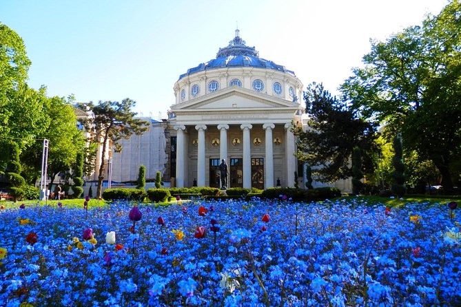 Bucharest Layover Tour (6 - Hour Private City Tour Between Flights) - Key things to know before you go
