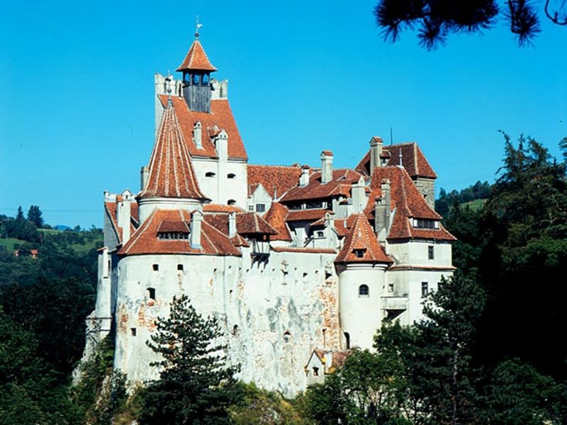 Bucharest: Peles Castle, Dracula's Castle and Brasov Tour - Bran Castle and the Dracula legend you can walk into