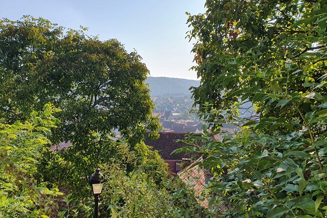 Bucharest Private Tour with Dracula's Grave and Ceaușescu Mansion - Key takeaways