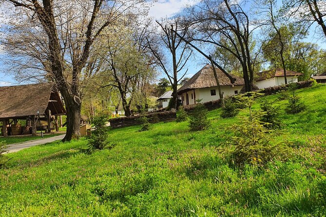 Bucharest Private Tour with Dracula's Grave and Ceaușescu Mansion - Price and logistics: is $174.53 per person worth it?