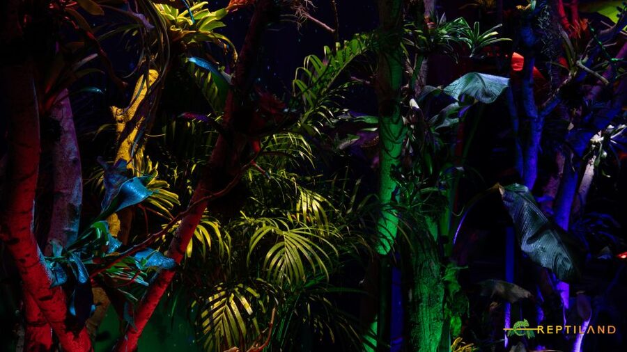 Bucharest: Reptiland Bucharest Entry Ticket - Your Entry and First Look: Customized Terrariums Built for Quality