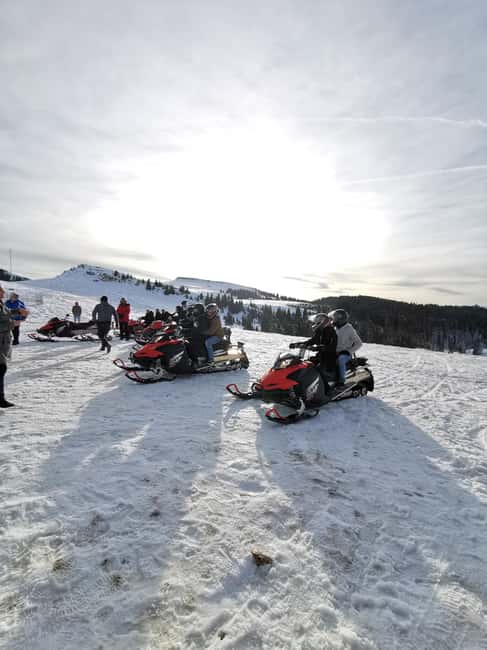 Bucharest: Snowmobile or ATV in the Carpathian Mountains - Key things to know before you go