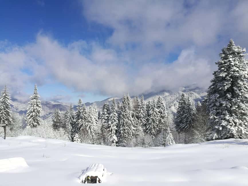 Bucharest: Snowmobile or ATV in the Carpathian Mountains - ATV or snowmobile in the Carpathians: which one makes sense for you