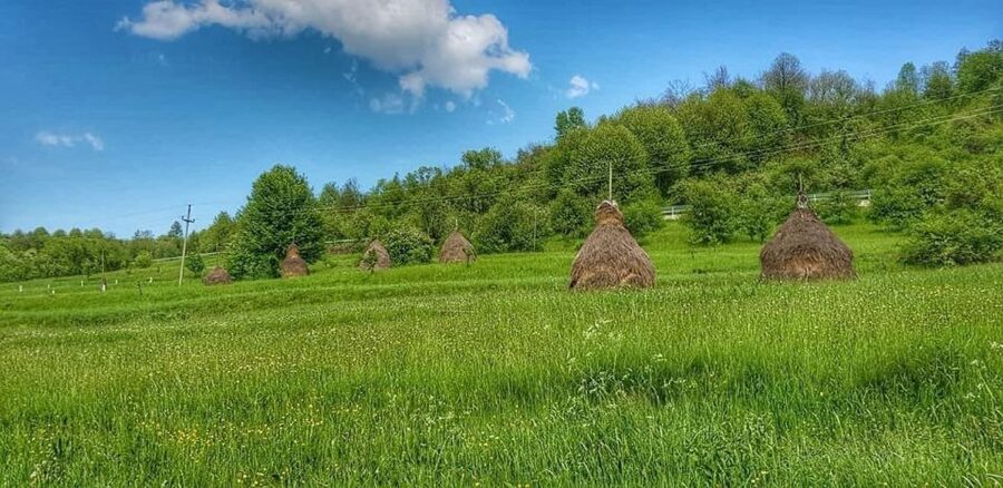 Bucharest: The Biggest Salt Mine in Europe & Wine Tasting - Itinerary pacing: a full day without feeling rushed