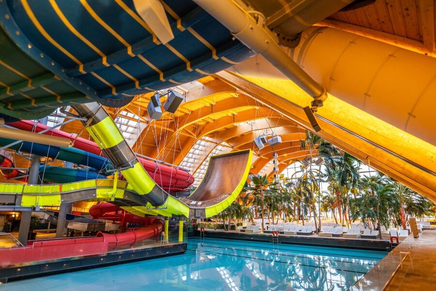 Bucharest: Therme Bucharest Entry Ticket and Transfer - The Palm Zone: tropical vibes and the more restful rhythm