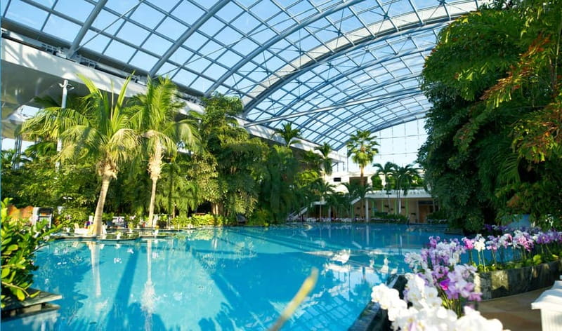 Bucharest: Therme București Entry Ticket with Transportation - The ride out and back, plus what the driver actually does