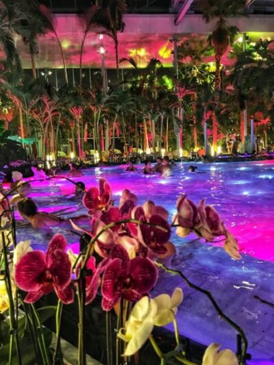 Bucharest: Therme Spa Night Experience with Transfer
