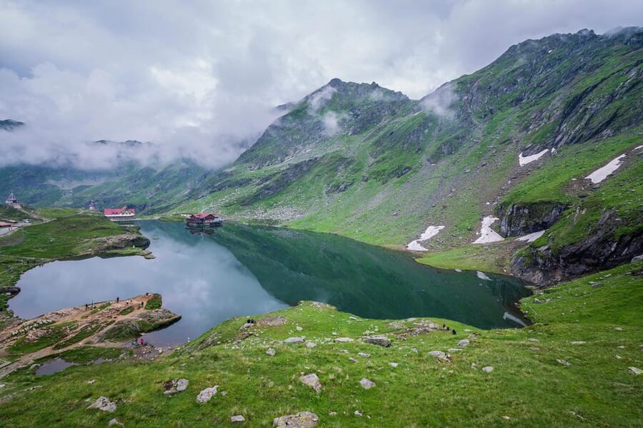 Bucharest: Top Gear Road and Wild Brown Bears Day Trip - Price and value: what $58 buys you (and what it does not)