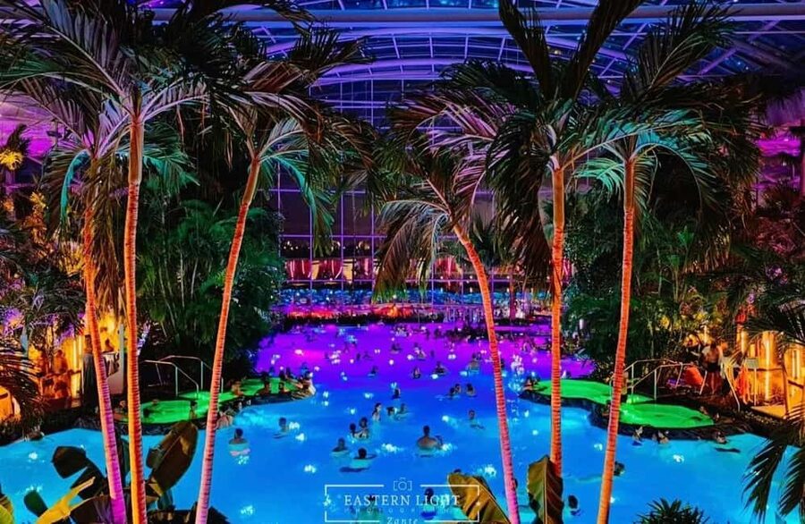 Bucuresti: Bucuresti Therme Transfer and Full-Day Access - The Palm strategy: peace, calm, and actually resting