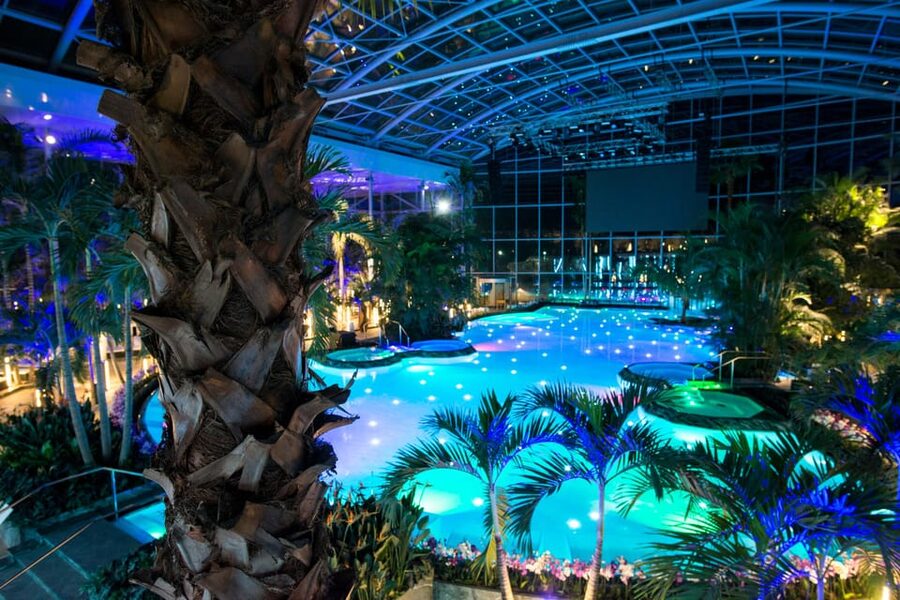 Bucuresti: Therme Bucharest Evening Entry Ticket & Transfer - Price and what you actually get for $59