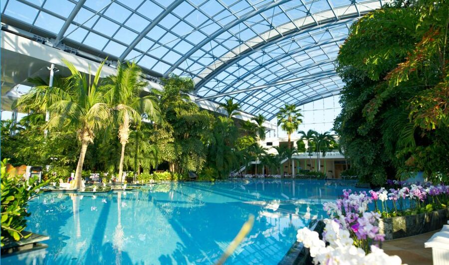 Bucuresti: Therme Bucharest Evening Entry Ticket & Transfer - Inside Therme Bucharest: geothermal water, botanical garden, and a real light show