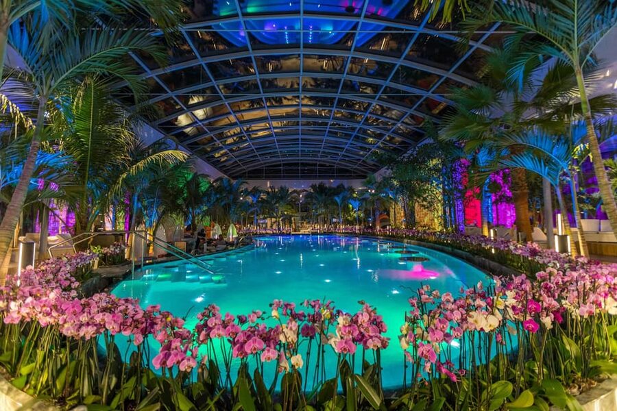 Bucuresti: Therme Bucharest Evening Entry Ticket & Transfer - Food, drink, and a reality check on lunch quality