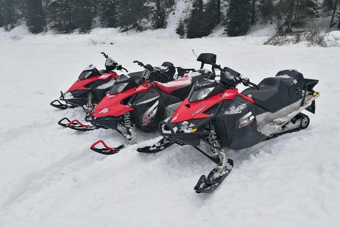 Carpathian mountains Snowmobile, ATV or Buggy tour in one day - Why this Bucharest-to-Carpathians day works (Peles Castle plus adrenaline)