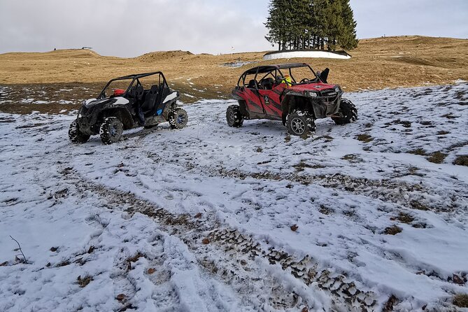 Carpathian mountains Snowmobile, ATV or Buggy tour in one day - Options to ride solo and pay for more time (know the add-on numbers)