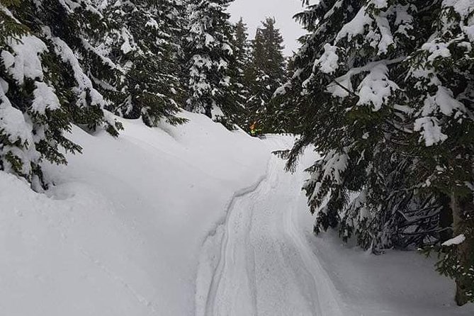 Carpathian mountains Snowmobile, ATV or Buggy tour in one day - The full day schedule, from 7:00 am pickup to your 1-hour ride