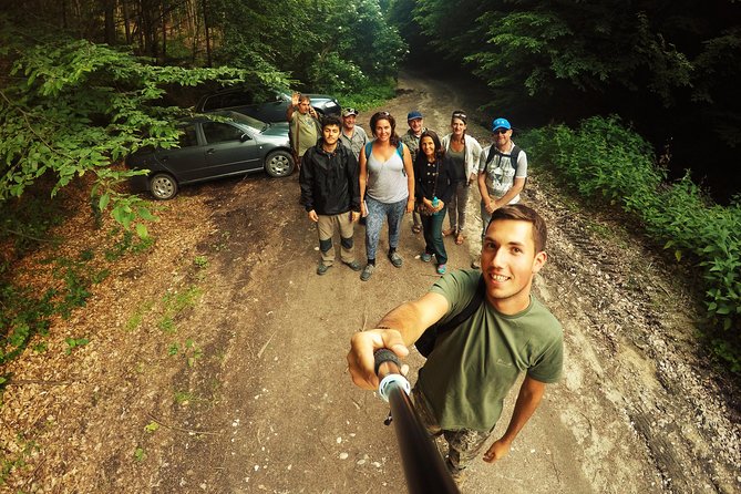 Carpathian Wilderness: A Wildlife Experience from Brașov - What Wildlife Chances Look Like (and Why Dusk Matters)