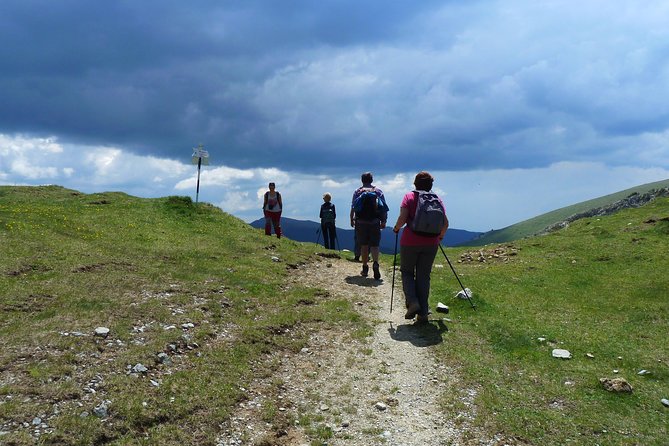 Carpathians in Romania: Bucegi Natural Park with native Spanish guide. - Stop-by-stop: what you’ll feel at each part of the hike