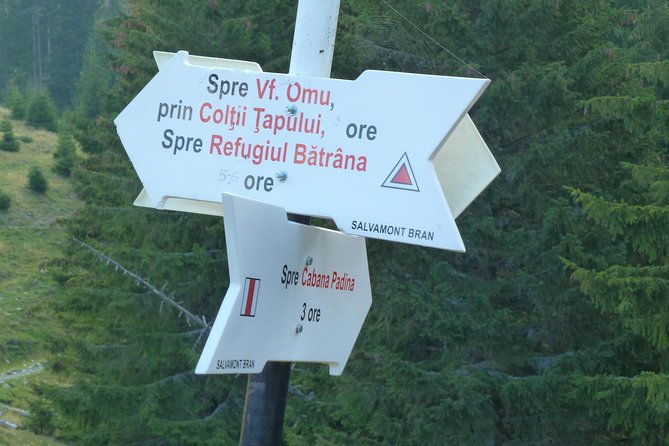 Carpathians in Romania: Bucegi Natural Park with native Spanish guide. - The guide factor: Nacho in the field, Spanish explanations, and local care