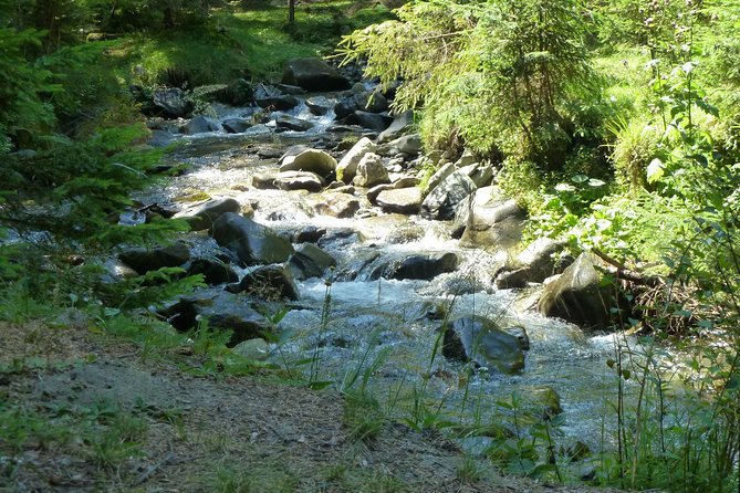 Carpathians in Romania: Bucegi Natural Park with native Spanish guide. - Gear and weather: the difference between a good day and a bad one