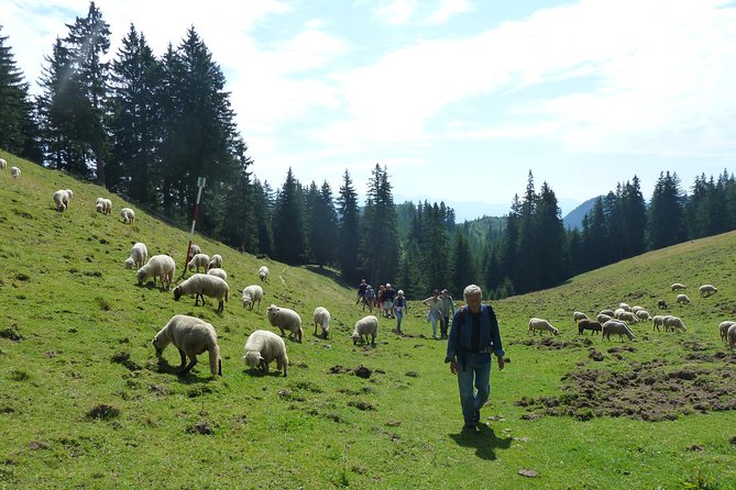 Carpathians in Romania: Piatra Craiului National Park with native Spanish guide. - Nacho and the native Spanish guide approach, plus what that changes for you