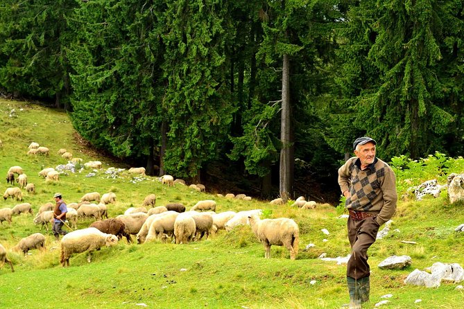 Carpathians in Romania: Piatra Craiului National Park with native Spanish guide. - Price and value: what $96.33 buys you and what it does not