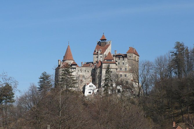 Castles Private Tour Peles - Bran - Rasnov from Brasov - Should You Book This Private Castles Tour?