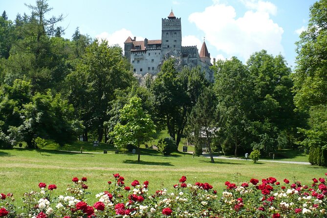 Castles Private Tour Peles - Bran - Rasnov from Brasov - Best Day Timing: Why the Morning Matters