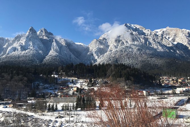 Castles Tours from Brasov - Stop 1 at Peles Castle: Gardens, Royal Rooms, and 19th-Century Craft
