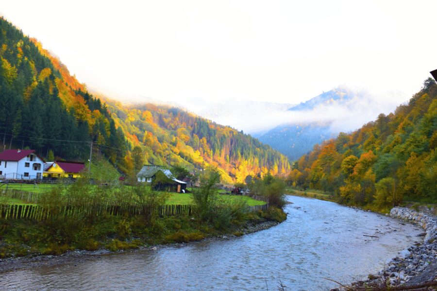 CJ03 - Day trip to Maramures Mocanita Train from Cluj Napoca - Quick Hits Before You Go (CJ03 in Plain Language)