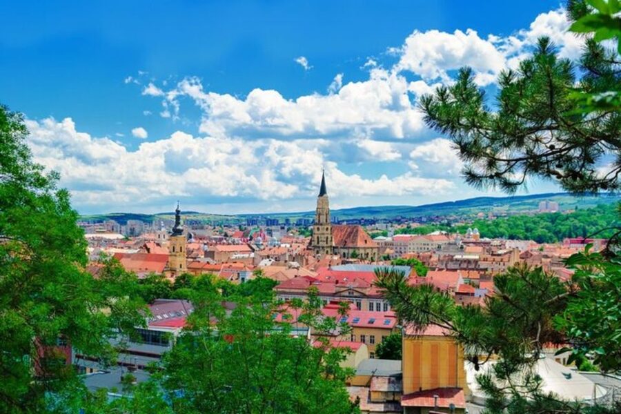 Cluj : Private Walking Tour with A Guide ( Private Tour ) - English Guide Quality and How It Shows Up on the Walk