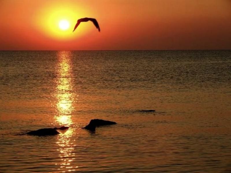 Constanta: Full Day Tour from Bucharest to the Black Sea - The 8 AM Bucharest Departure, and the Ride That Sets the Mood