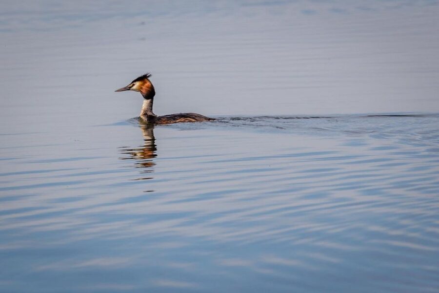 Danube Delta - 2-Day Tour from Bucharest - Day 1: Constanta and Tulcea before the wetlands take over