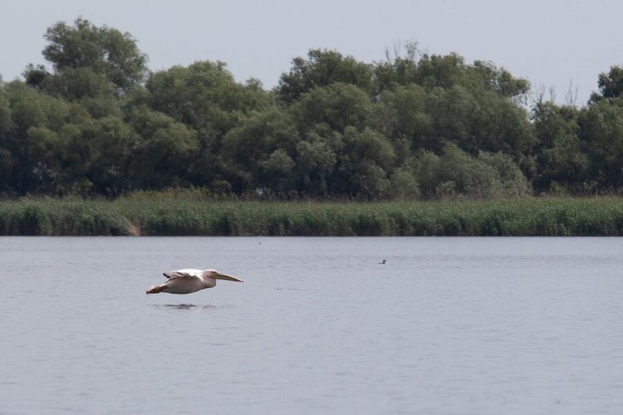 Danube Delta - 2-Day Tour from Bucharest - Night in the delta: why the overnight matters for your mood
