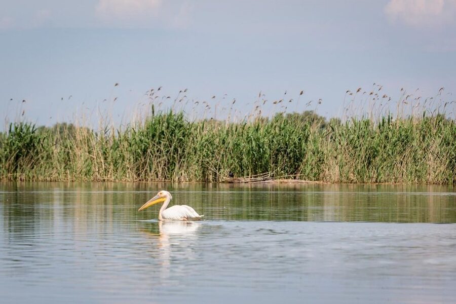 Danube Delta - 2-Day Tour from Bucharest - Price and value: what $505 buys you and what you still pay