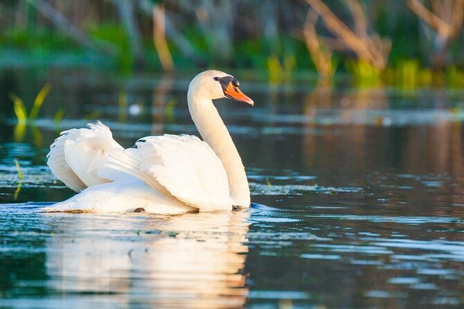 Danube Delta and Black See - 2 Days Private Tour from Bucharest - Day 2 in the Danube Delta: the 6-hour boat trip that drives the whole value