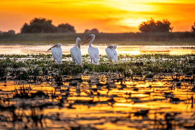 Danube Delta and Black See - 2 Days Private Tour from Bucharest - Price and value: what $1,239.07 per person is really buying
