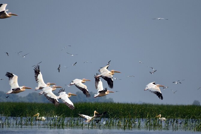 Danube Delta and Black See - 2 Days Private Tour from Bucharest - Who this private Danube Delta and Black Sea tour fits best
