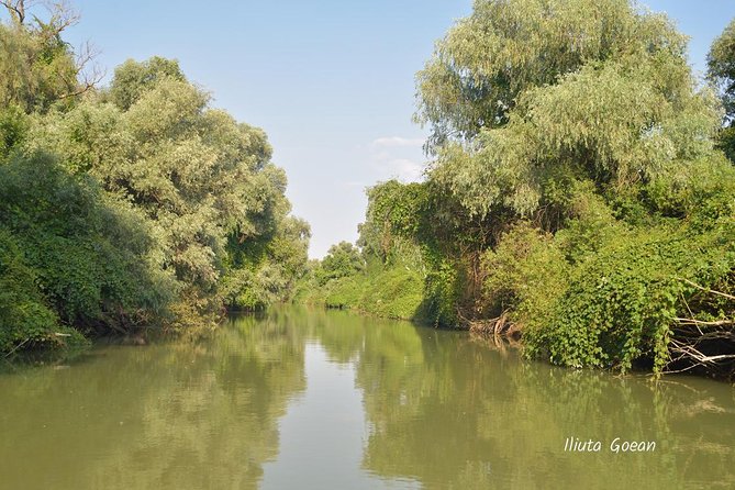 Danube Delta PRIVATE boat trip to Mila23 Village (guided tour) - Key highlights to know before you go