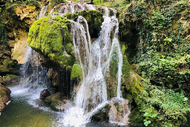 Danube Gorge & Banat Waterfalls - Banat waterfalls after the gorge: forest walks and mossy shapes