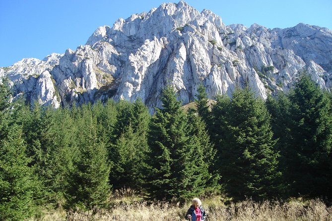 Day Hike in Carpathian Mountains for all levels in five areas - Forest, meadows, and views: what the 5-6 hour hike is like