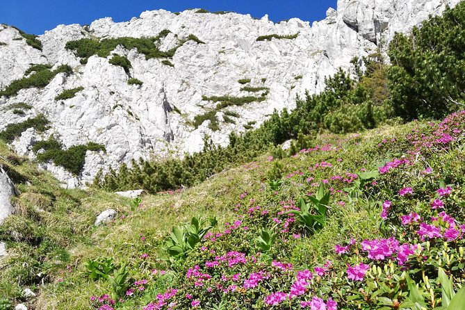 Day Hike PRIVATE - Piatra Craiului National Park - Getting to the start near Piața Sfatului without wasting your morning