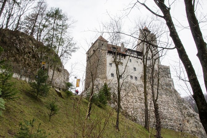 Day Trip Bear Sanctuary, Bran Castle, Rasnov Fortress from Brasov - Brasov to Transylvania in one day: what the schedule really means