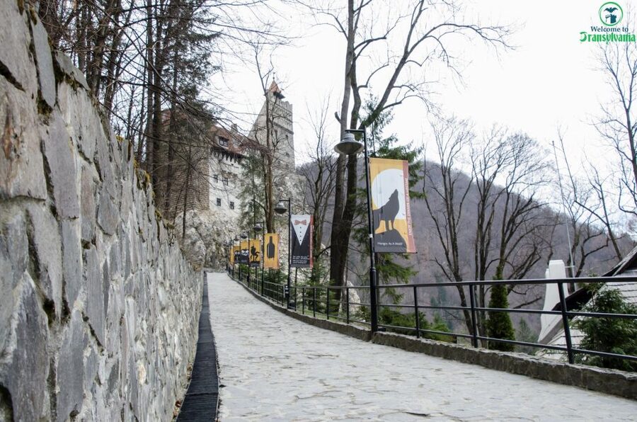 Day trip Bran Castle, Rasnov Fortress and Bear Sanctuary - LiBEARty Bear Sanctuary Zărnești: Meeting Over 100 Bears in a Welfare-Focused Setting