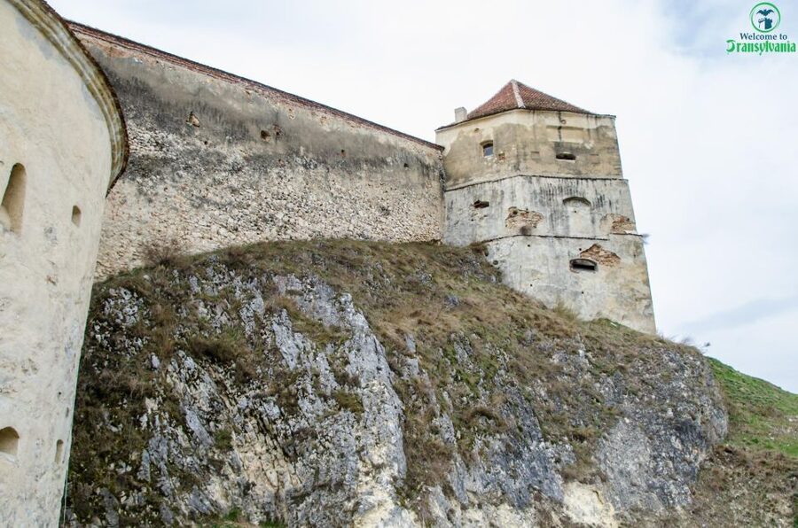 Day trip Bran Castle, Rasnov Fortress and Bear Sanctuary - Price and Logistics: Is This $49 Day Trip Good Value?