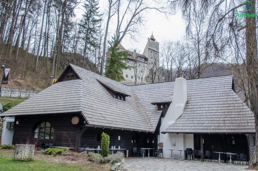 Day trip Bran Castle, Rasnov Fortress and Bear Sanctuary - Who Should Book This and Who Might Skip It